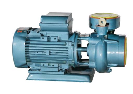 Domak Slg4 3 Hp 220v Su Pompası