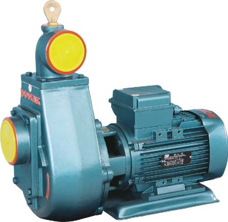 Domak ÜKS2 2 Hp 220v Su Pompası