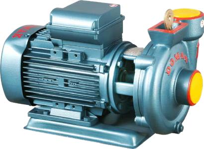 Domak Slg1 1 Hp 220v Su Pompası