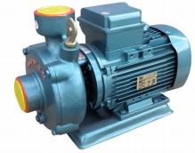 Domak Slg1.5 -2K 2 Hp 220V Su Pompası